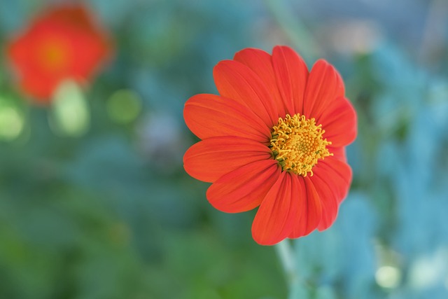 无论是在青 无论是在青