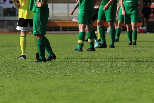 乒乓球活动 乒乓球活动