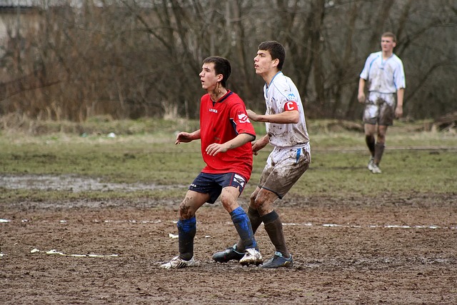 而拜仁的欧 而拜仁的欧