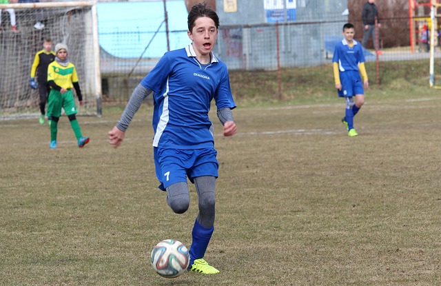 的滑翔伞装 的滑翔伞装