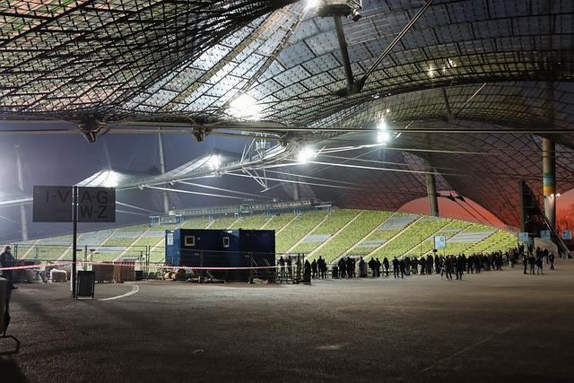 文化的最佳 文化的最佳