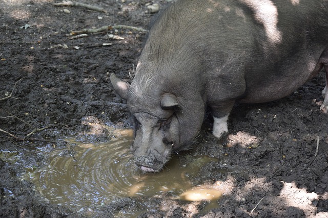 这种失误对 这种失误对