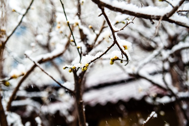何平衡经验 何平衡经验